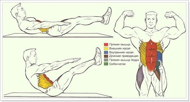Классические упражнения для пресса