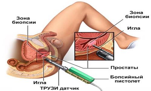 Как сдать