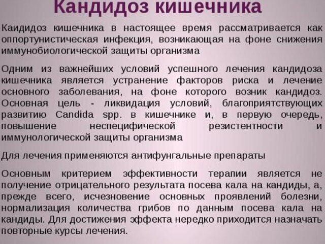 кандидоз кишечника 