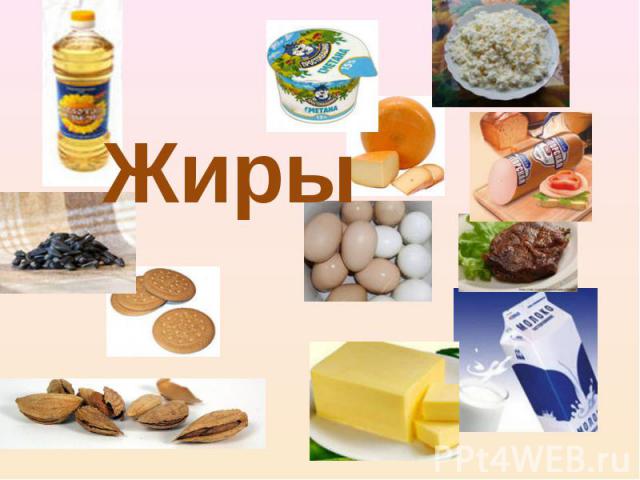 жиры