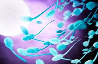 Сперматозоиды