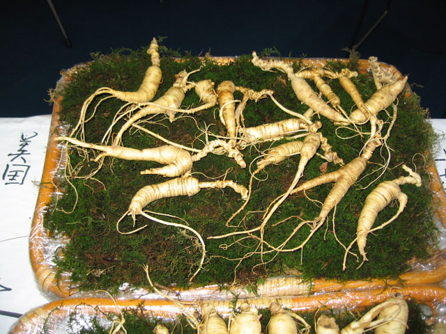 Лечебное растение 