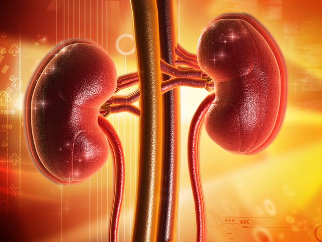 Важные органы 