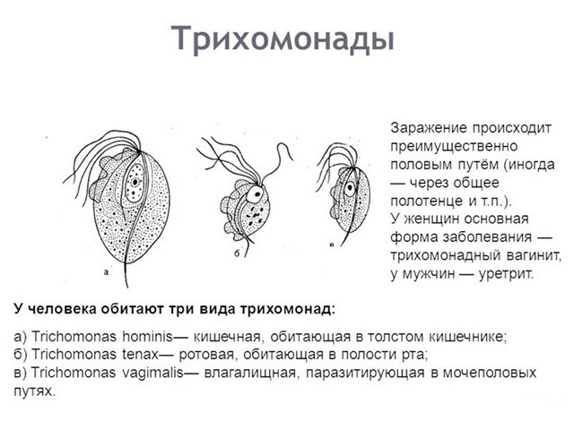 Схематический рисунок 