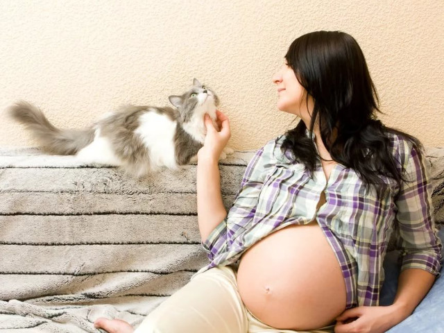 Беременная девушка 