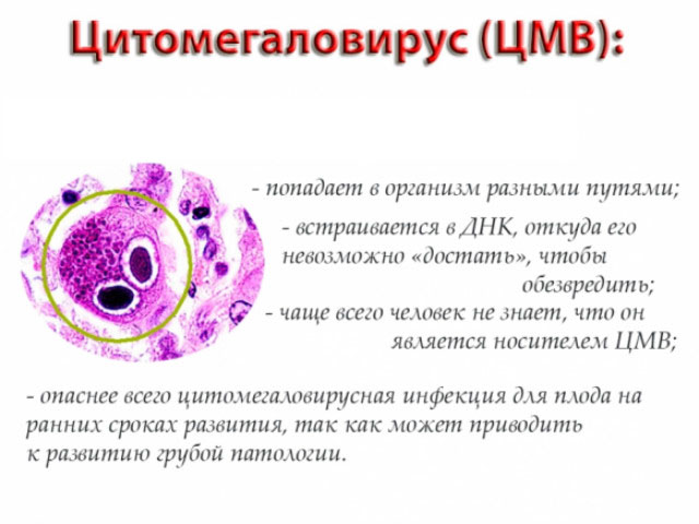 Схематический рисунок 