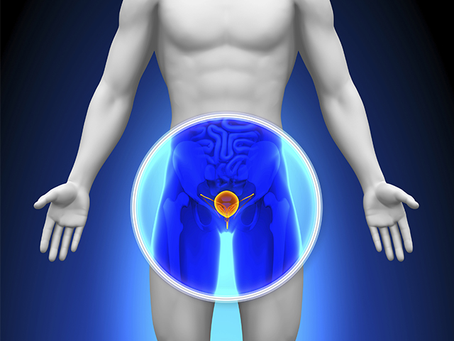 Трехмерная модель 