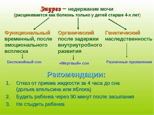 Энурез у ребенка