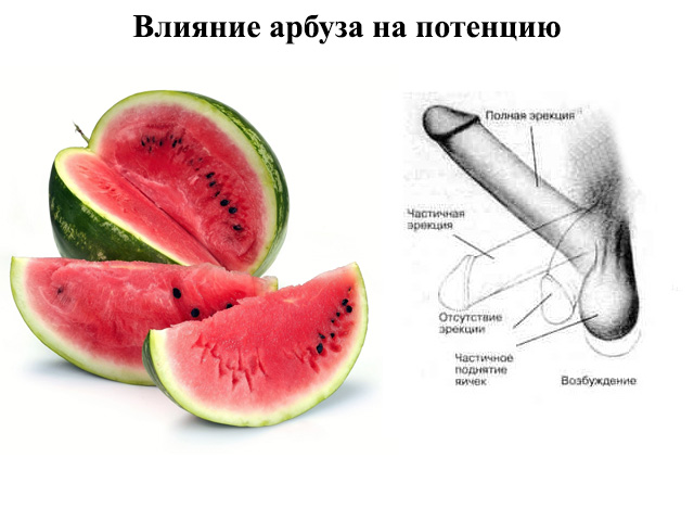 Схематический рисунок 