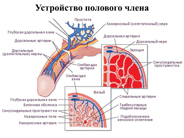 Схематический рисунок 