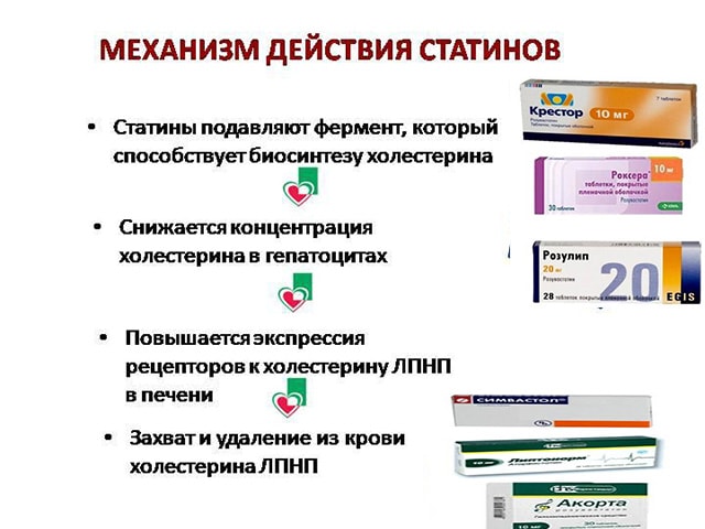 Действие препаратов