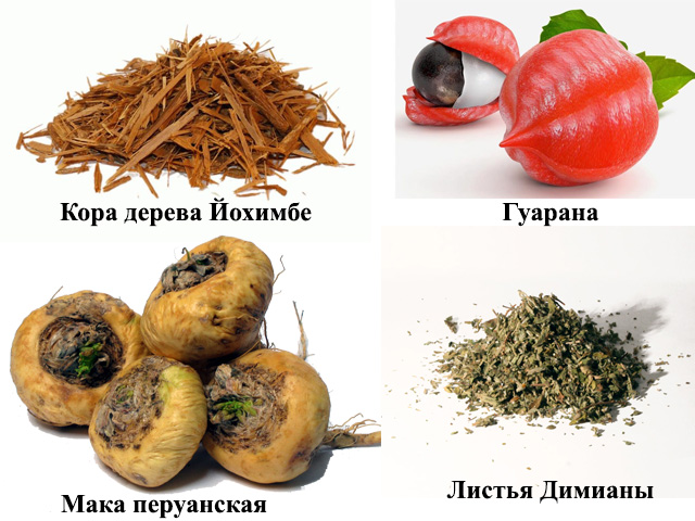 Компоненты препарата Сборный рисунок