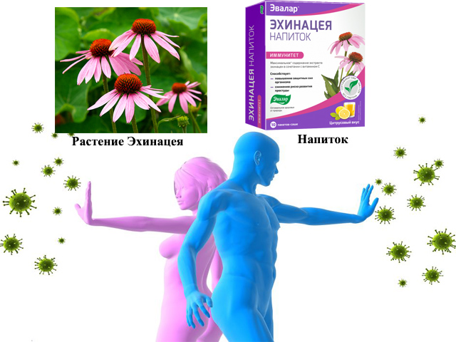 Укрепление иммунитета Сборный рисунок