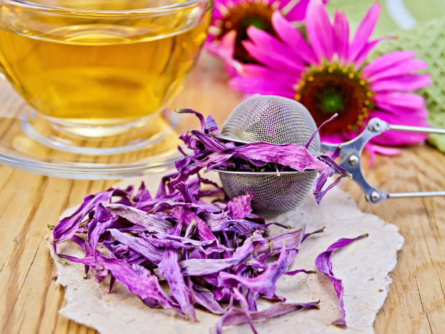 Напиток из растения Красивые цветки