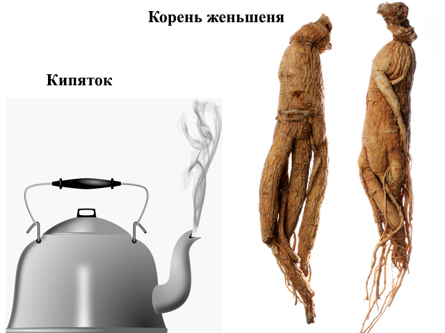 Чайник и корни 