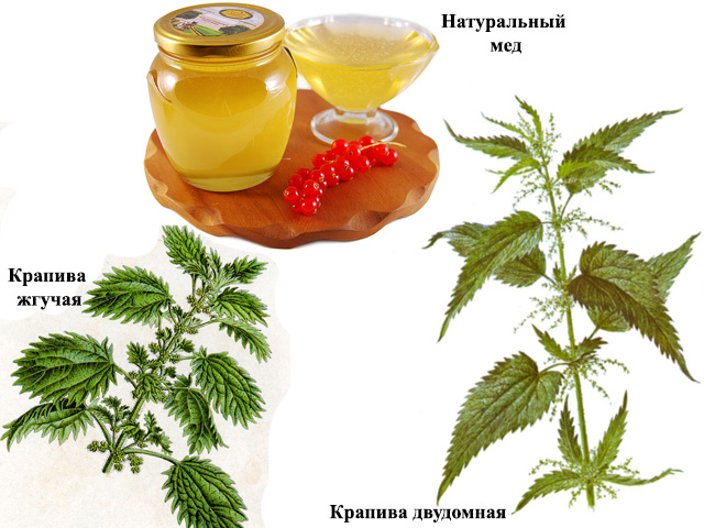 Ингредиенты для смеси 