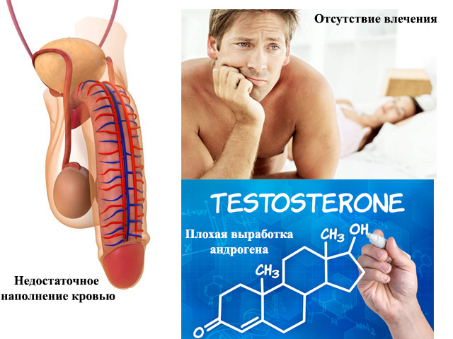 Сборный рисунок 