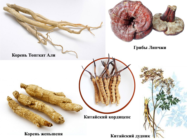 Состав лекарства 