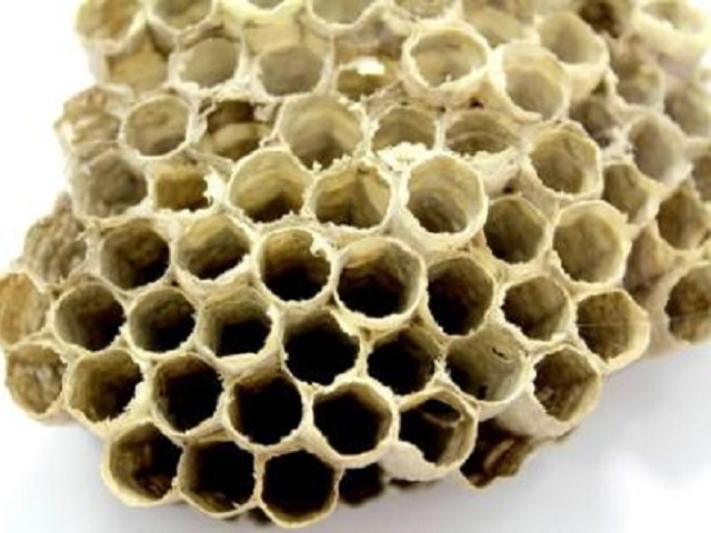 propolis