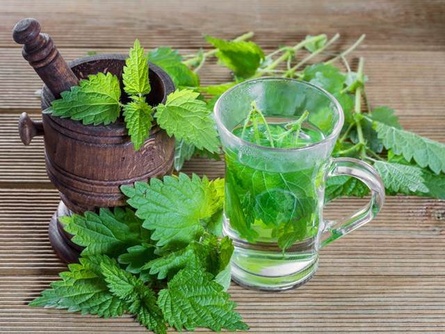 Жгучая трава