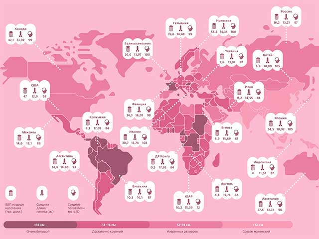 длина пениса