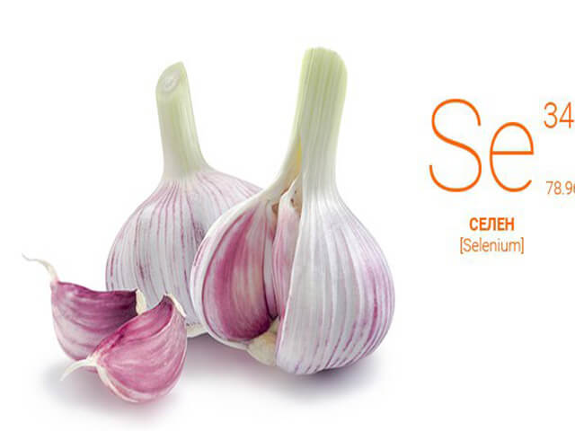 Селен и чеснок