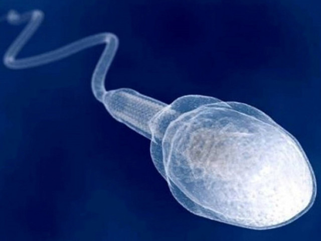 Здоровая активность