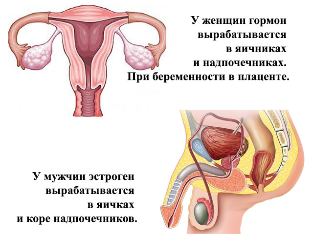 Схематический рисунок 