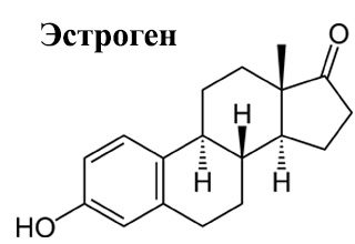 Схематический рисунок