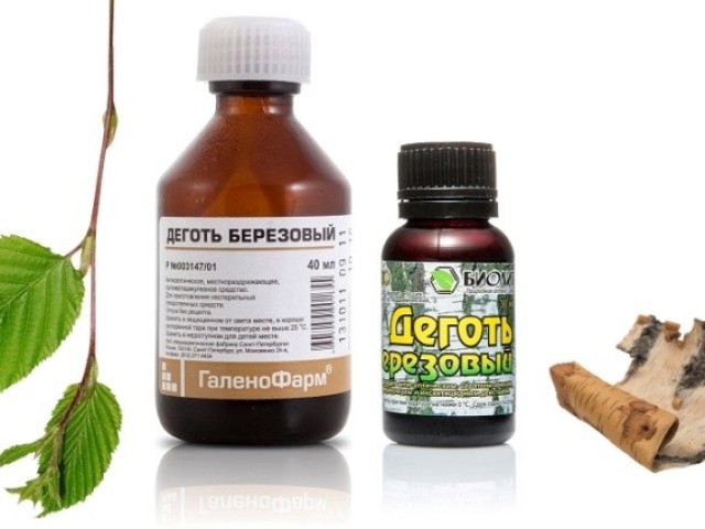 Березовый деготь 