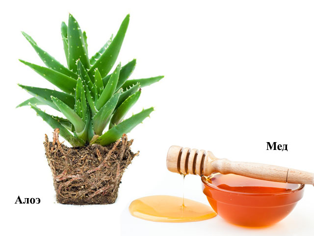 Алоэ и мед 