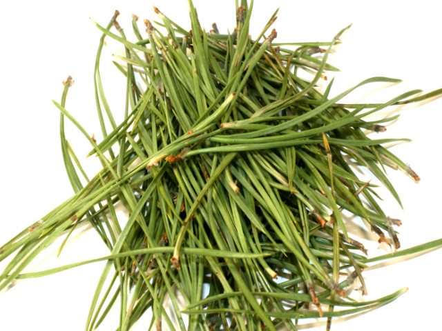 Использование хвои 