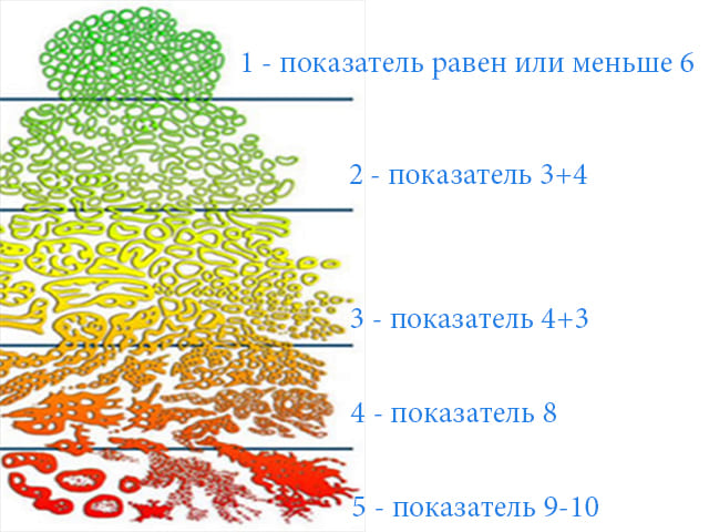 Шкала Глисона