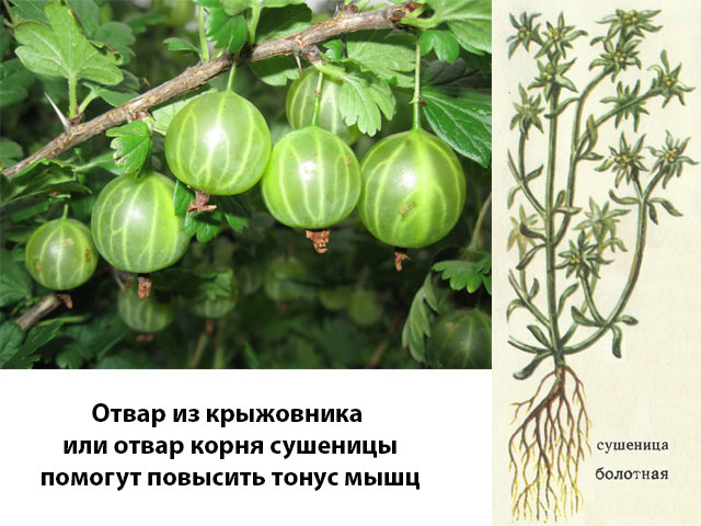 Сборный рисунок