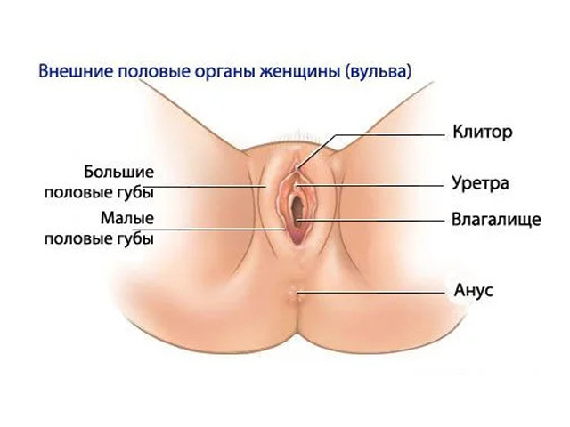 Схематический рисунок