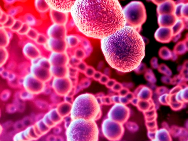 Бактерии под микроскопом Рисунок 3D