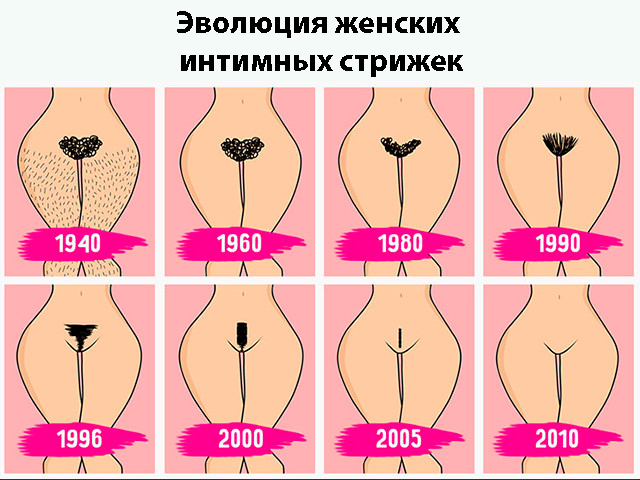Эволюция женских интимных стрижек Схематический рисунок
