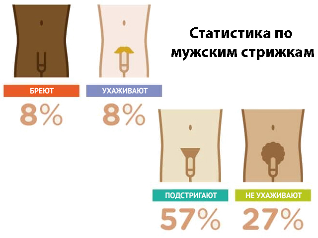 Статистика по интимным мужским стрижкам Варианты стрижек