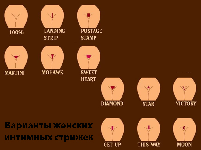 Варианты женских интимных стрижек Схематический рисунок