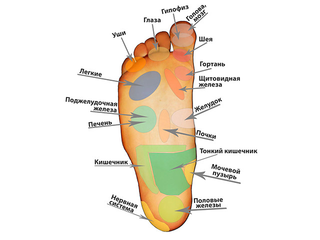 Схематический рисунок