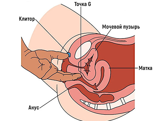 Схематический рисунок 