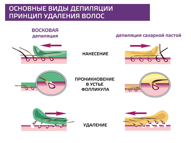 Схематический рисунок