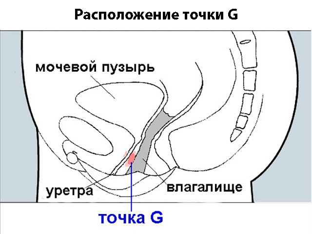 Расположение точки G Схематический рисунок